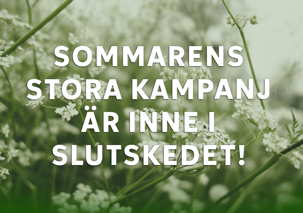 Nyhetsbrev juni 2025